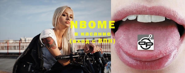 spice Богородицк