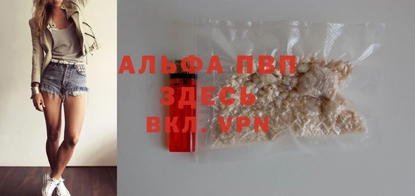 spice Богородицк